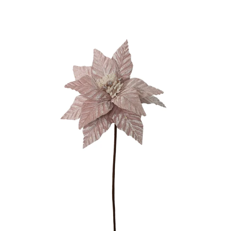 Touched by Snow Poinsettia 24" - Pink/White | QG