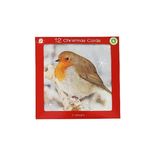 Christmas Cards Square Graphic Robin