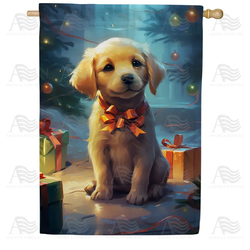 Christmas Surprise For Child Double Sided House Flag