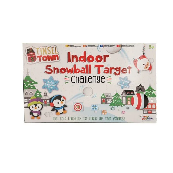 Indoor Snowball Target Challenge