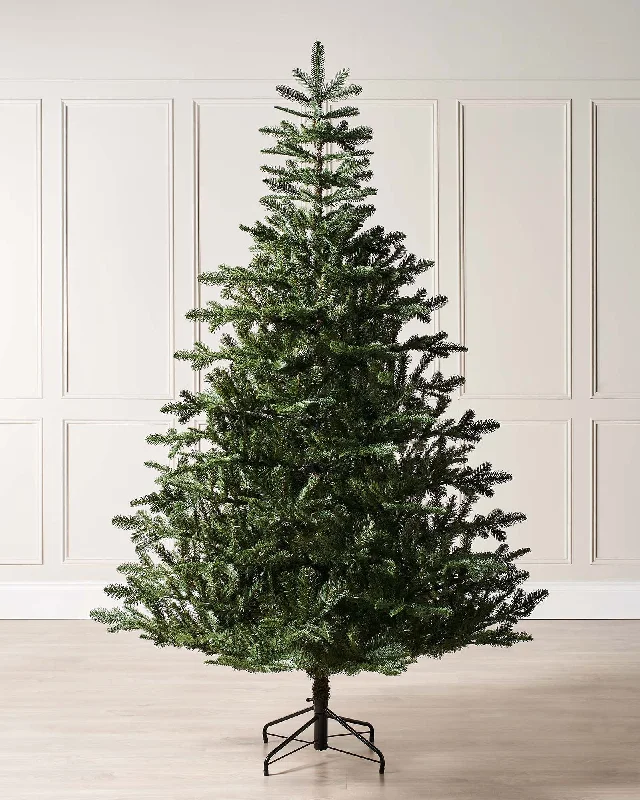 Nordmann Fir Christmas Tree