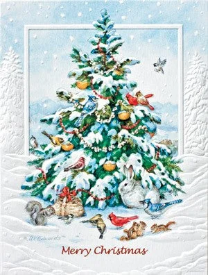 The Animals Tree Petite Boxed Cards